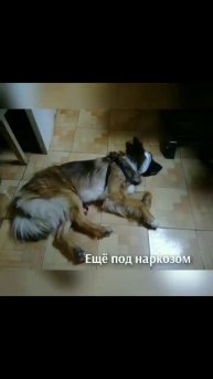🆘🆘🆘Ребята, очень нужна ваша помощь!!!🆘Надо закрыть