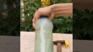 ПРОТИВОГРИБКОВОЕ СРЕДСТВО ДЛЯ РАСТЕНИЙ И ТОМАТОВ ЗА КОПЕЙКИ