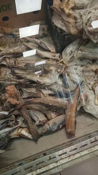 Трешовый рыбный холодильник