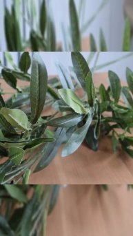 Тайна коричневой краски, которая изменила всё