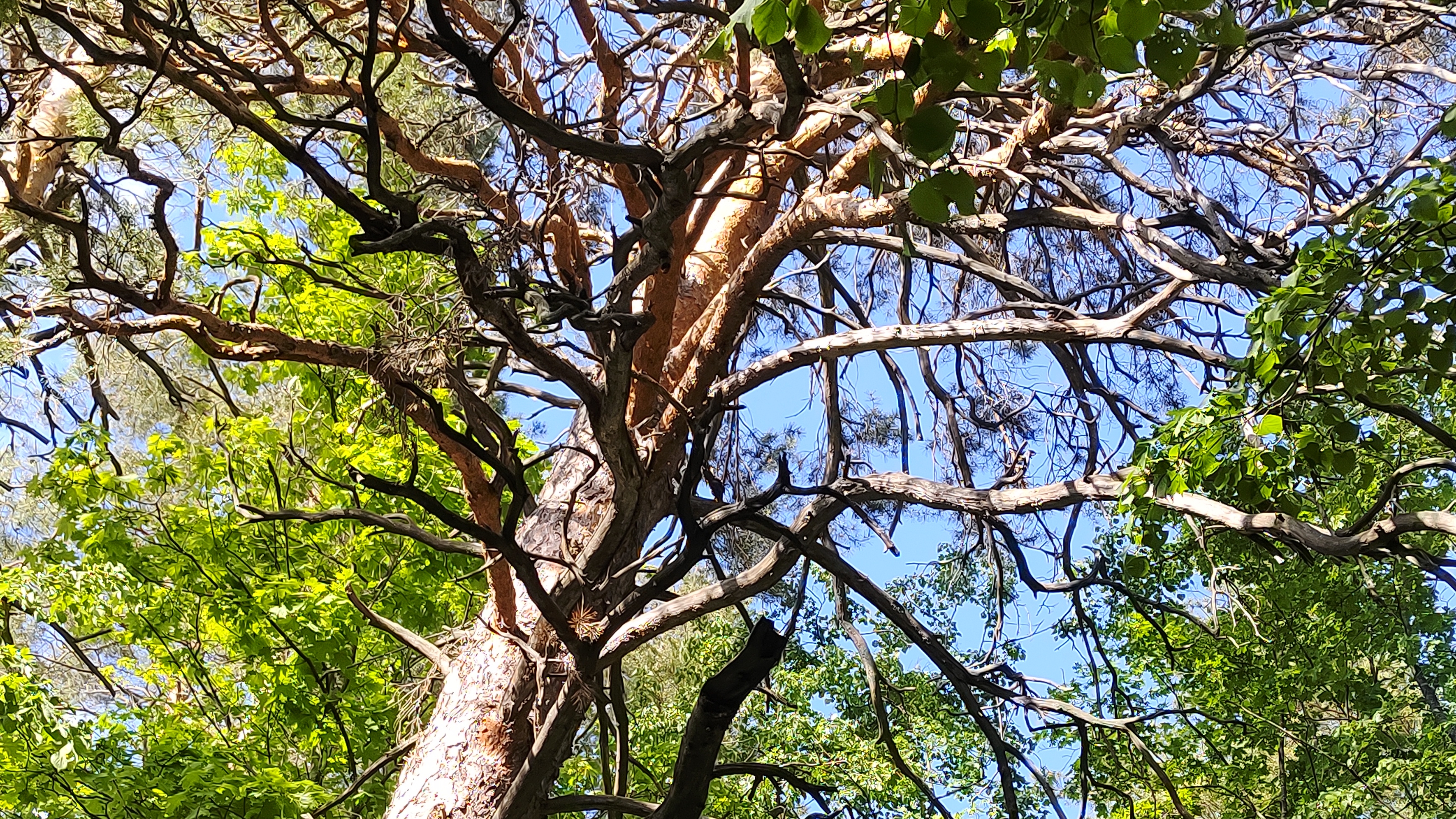 Хвалынский Национальный парк 🏞️/весенние песни птиц🐦/май 2025