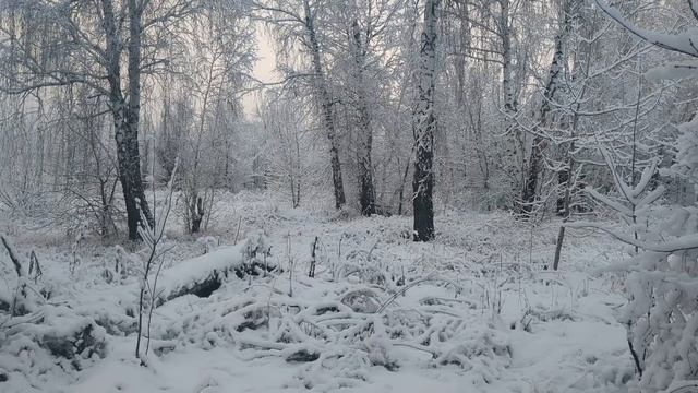 Личные финансы.