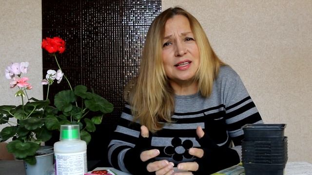В чем выращивать рассаду овощей и цветов. Кассеты для ?