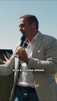Системность - залог успеха #деньги #бизнес #интервью #м?