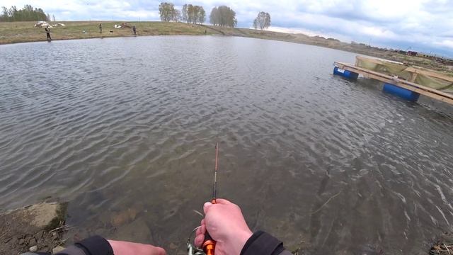 Форель Береговой 6 мая 2025