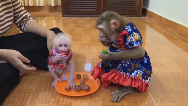 Обезьянка бережет малышку сестричку Прижимает Гладит Целует Сальто делает Потом КРОХИ  едят фрукты В