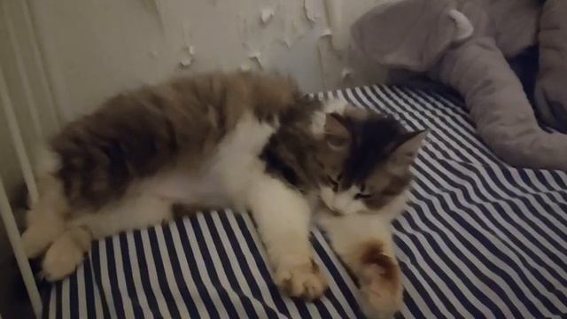 Есть повод ещё порадоваться!