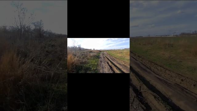 Велопрогулка под музыку)