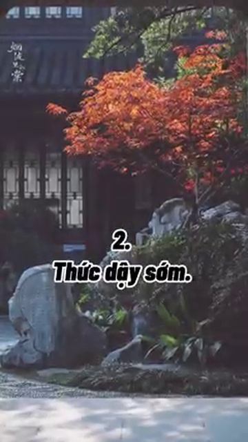 Мир домашних питомцев – Серия 469: Забавные и милые моменты