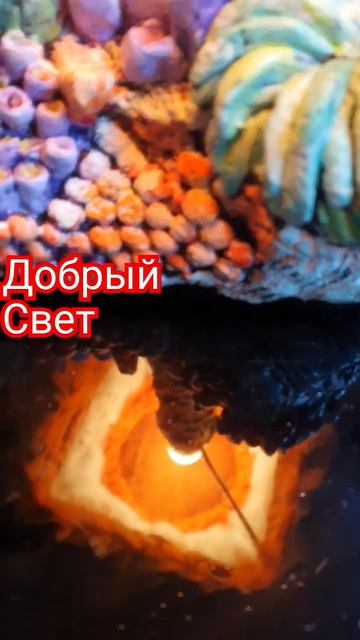 Добрый свет #дом #вдохновение #лепка#бетон#лампыручной