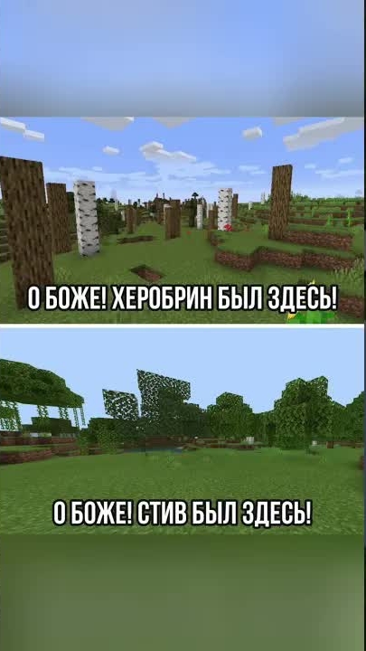 Minecraft #прикол #мем