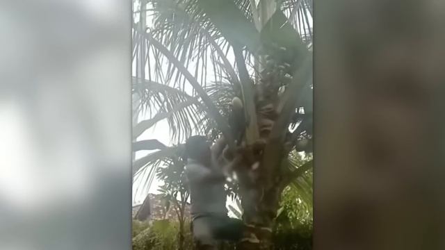 САМЫЕ_НЕЛЕПЫЕ_МОМЕНТЫ,_СНЯТЫЕ_НА_КАМЕРУ