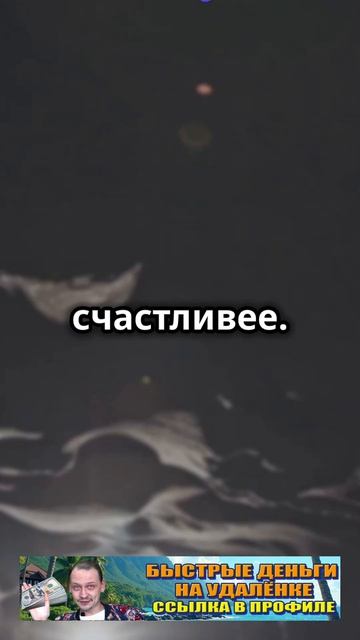 Каждый новый день — это шанс начать заново! Ccылка в пр?