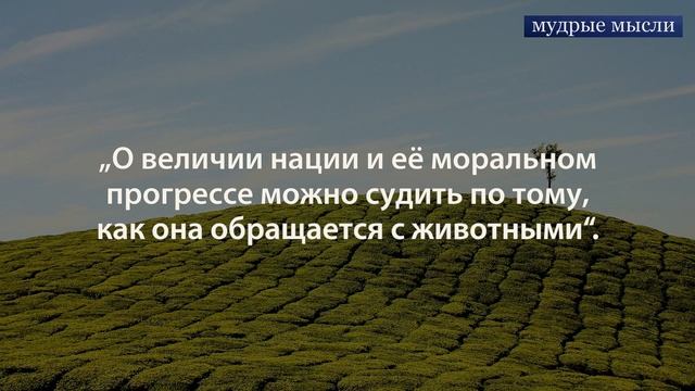 Махатма Ганди. Мудрые слова. Афоризмы и интересные высказывания