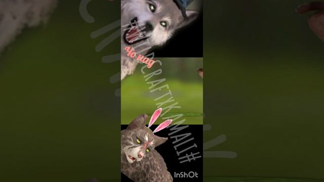 Тест 8-го класса..