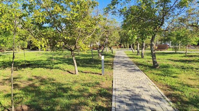 Утренняя прогулка
Анапа 11.05.2025