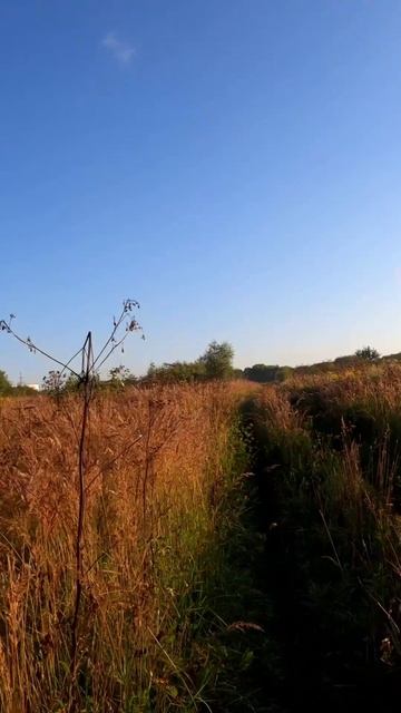 Вы владелец собственного бизнеса (2)