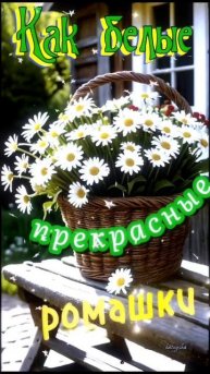 🔴 Доброе утро! Хорошего дня! ☕🌷☀️🎶