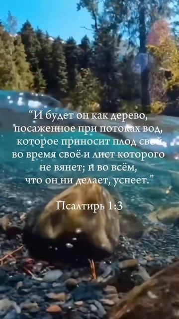 Планы Папочки на тебя😍🔥👍🙌
