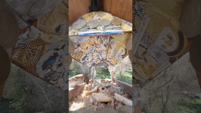 1000042932.mp4Жизнь кормушки.11.05.2025г.