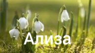 Ализа. Только Ты.