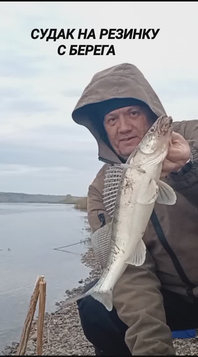СУДАК С БЕРЕГА НА РЕЗИНКУ
