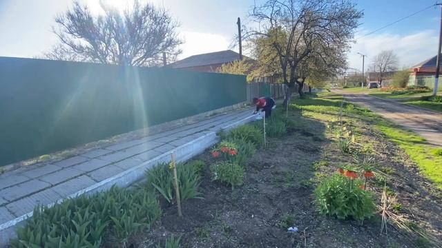 540ч🏡15.04.25-Состояние переезда/Готовлю рассаду/Покраск?