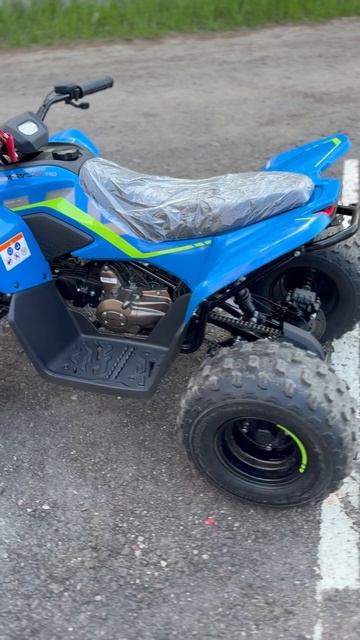 Cf Moto 110