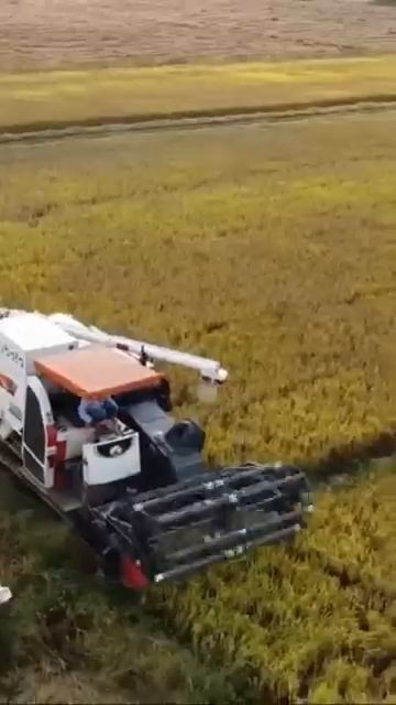 Cambodia DC-105X🌾🌾🌾🌾🌾🚜💰 #kubota #agriculture #agriculturefarming #farming #subscribe