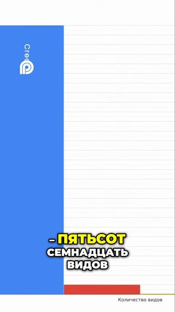 Муравьи: 14000 видов против человека - Кто круче?