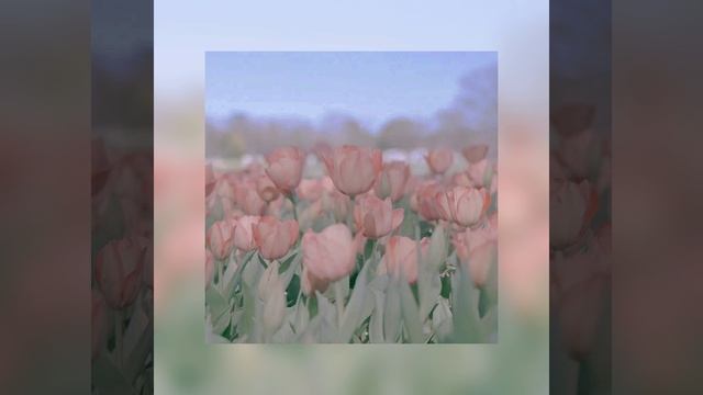 secret garden Empathp