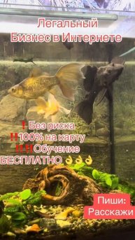 Заработок в интернете,работа на дому