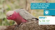 RSPCA Pet Insurance Home TV Ad 2019