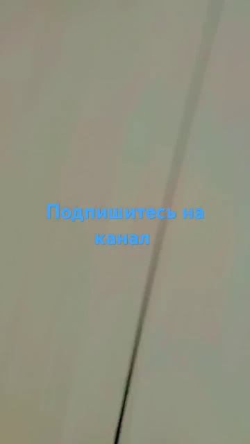 24 декабря 2024 г.