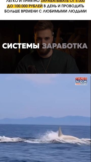 1000043204.mp4