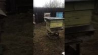 ПОГОДКА ШЕПЧЕТ…