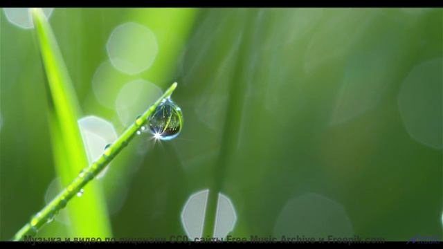 Мелодия заставляет смотреть на природу заново - Expansion On a Dying Theme -- Blue Sky Moon -- Proph
