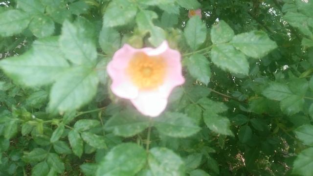 VID_20250510_080752