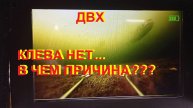 ДВХ. Нет клева... Главная причина? .mp4