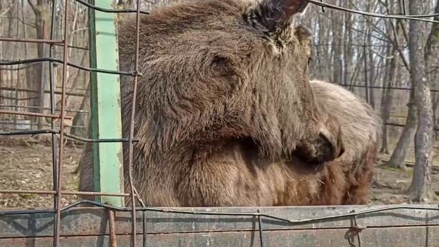 НЕЗАБЫВАЕМЫЕ ВПЕЧАТЛЕНИЯ