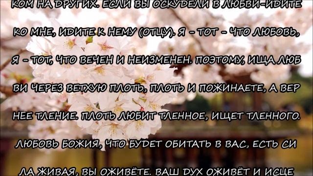 М.446)) СЛОВО ОТ ГОСПОДА ИИСУСА ХРИСТА. ПРО ЛЮБОВЬ.