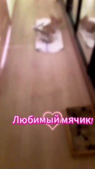 А завтрак где?