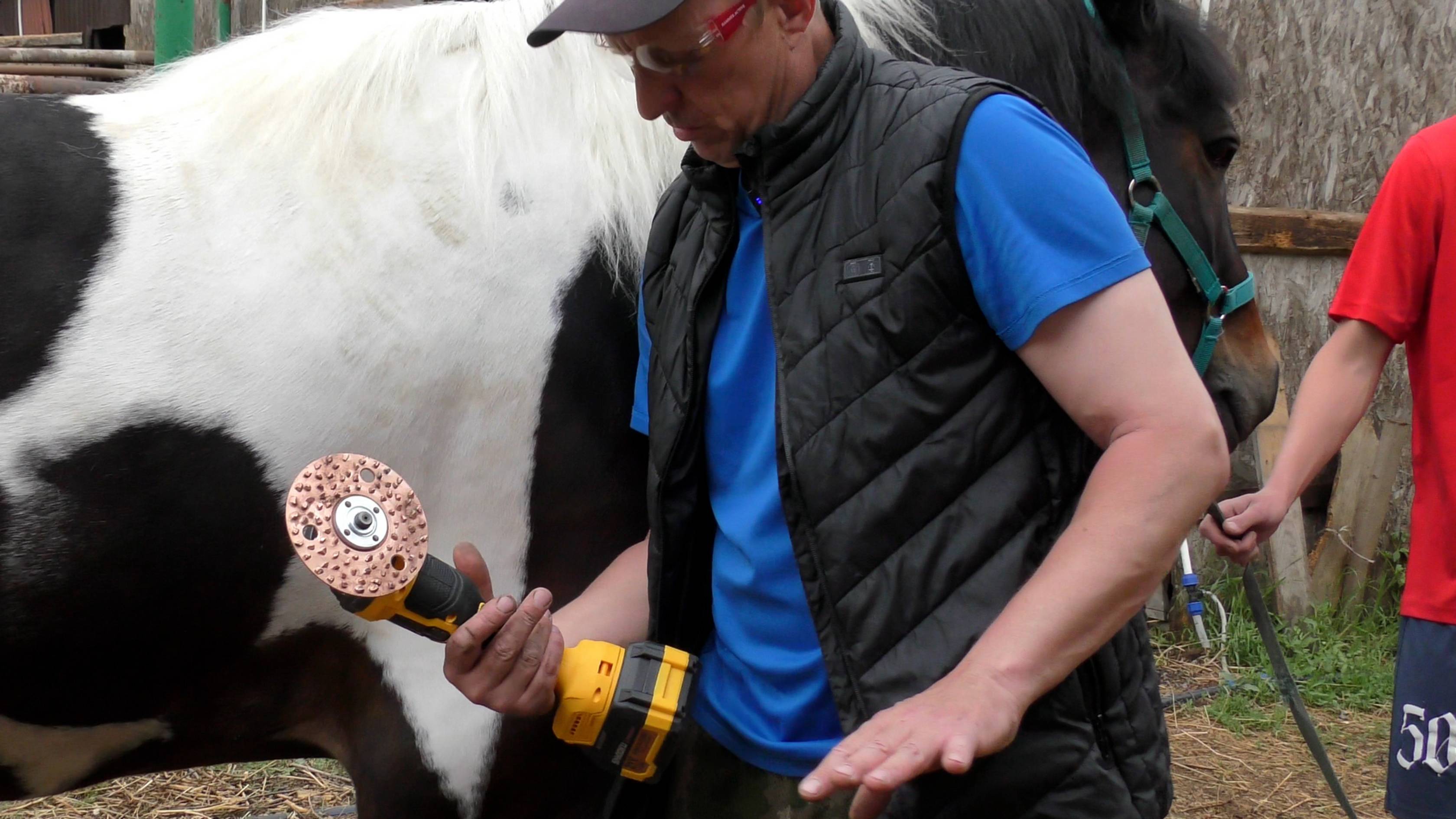 Расчистка копыт лошади с помощью болгарки