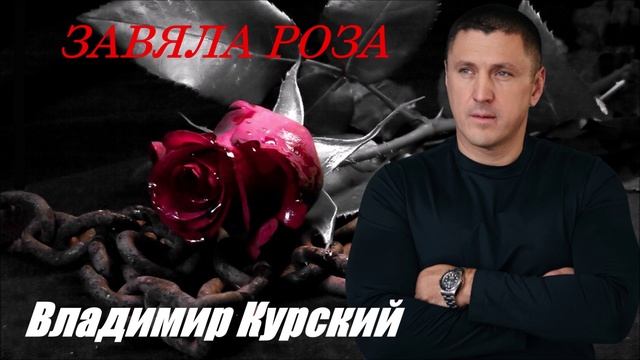 ВЛАДИМИР КУРСКИЙ - "ЗАВЯЛА РОЗА". АЛЬБОМ "ВОЛЧАРА".