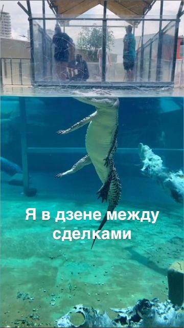 Риелтор отдыхает