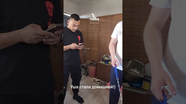 Уша поехала домой