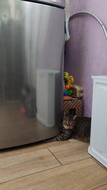 Это мой холодильник, 😼😼😼