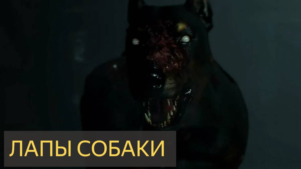 Лапы собаки (Мистическая история)