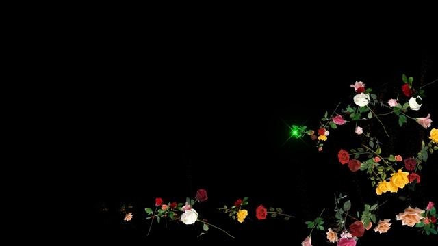 футаж - Падающие Розы с альфа каналом