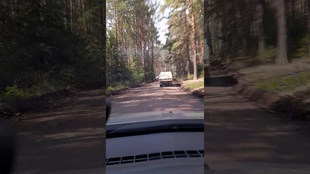 20250510_125019_001 Откуда дровишки?